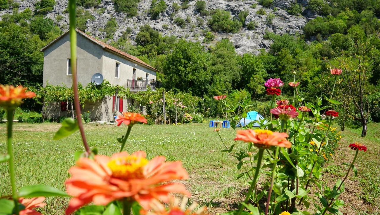 Camp Podkraj Hotel Virpazar Eksteriør billede